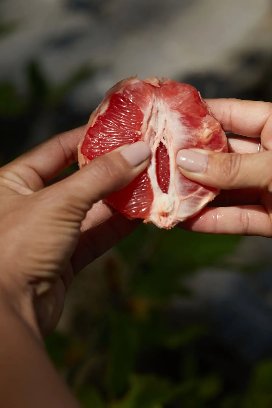 Dos manos abriendo una fruta roja a contraluz